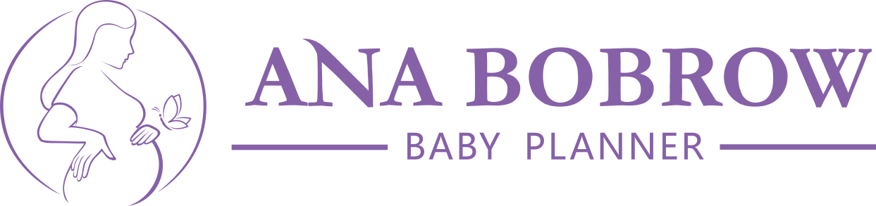Ana Bobrow Baby Planner